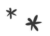 On voit deux étoiles stylisées reprennant discrètement la thématique du logo